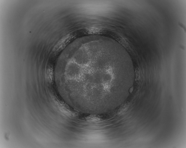 X0000100350648200806061115