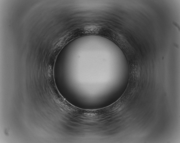 X0000100350649200806061115