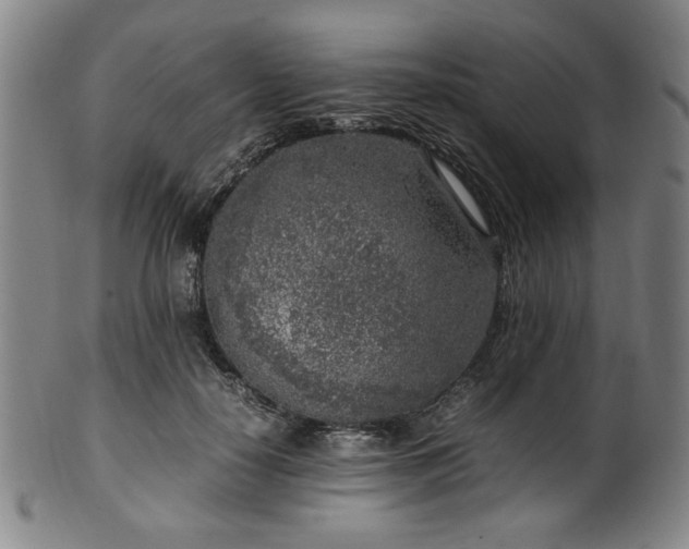 X0000100350650200806061115