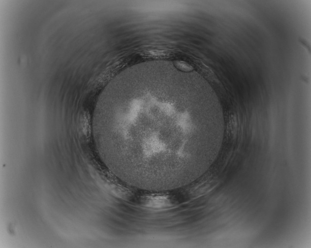 X0000100350651200806061115