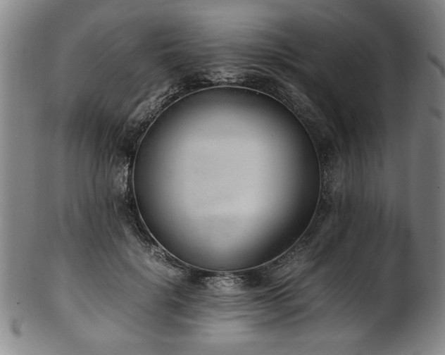 X0000100350652200806061115