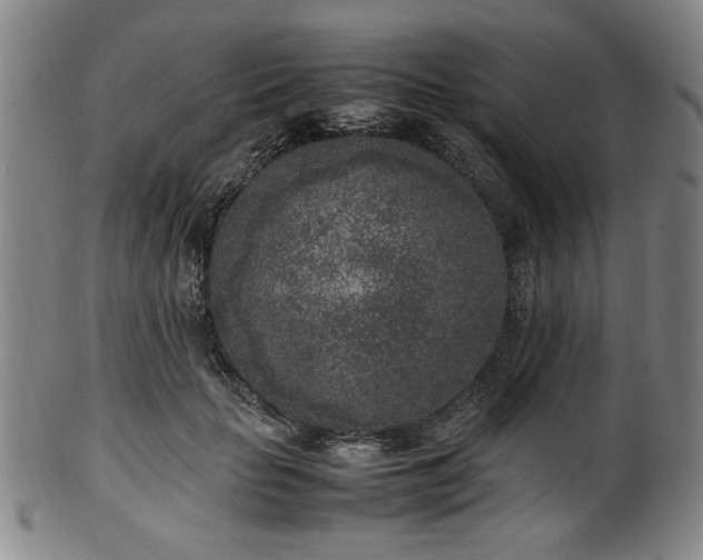 X0000100350653200806061115