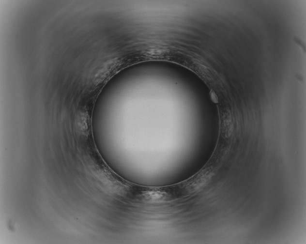 X0000100350654200806061115