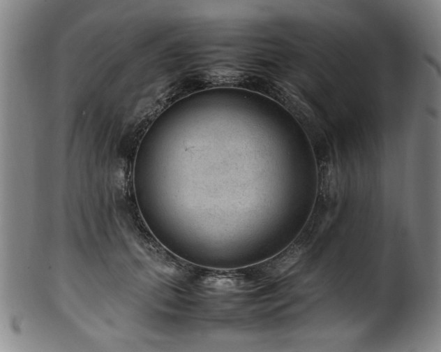 X0000100350655200806061115