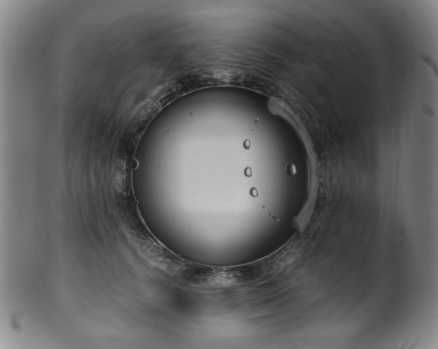 X0000100350656200806061115