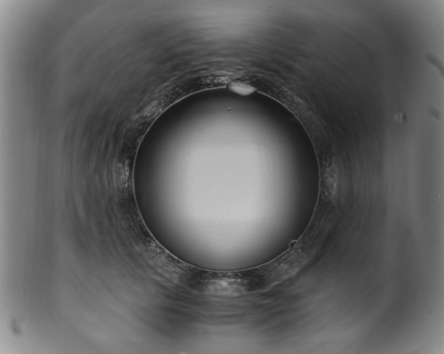 X0000100350657200806061115