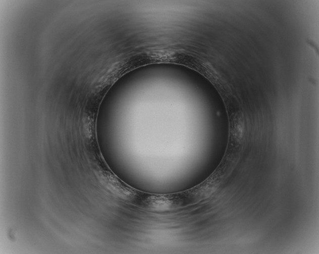 X0000100350658200806061115