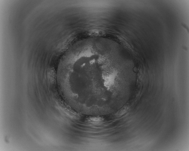 X0000100350659200806061115