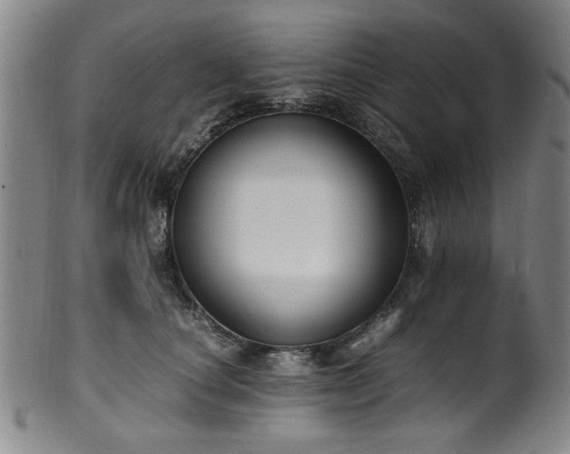 X0000100350660200806061115