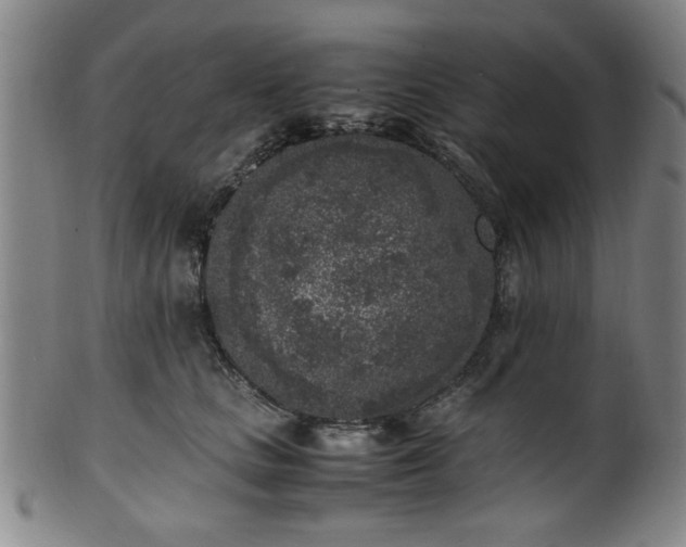 X0000100350661200806061115
