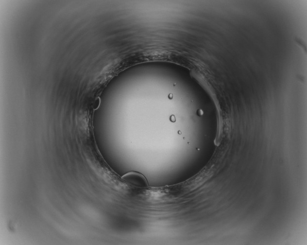 X0000100350662200806061115