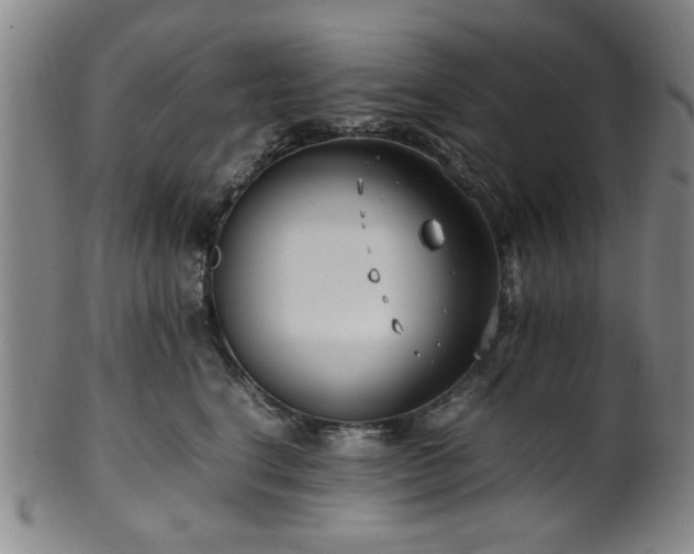X0000100350664200806061115