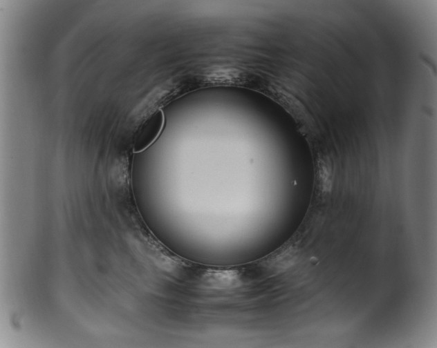 X0000100350665200806061115