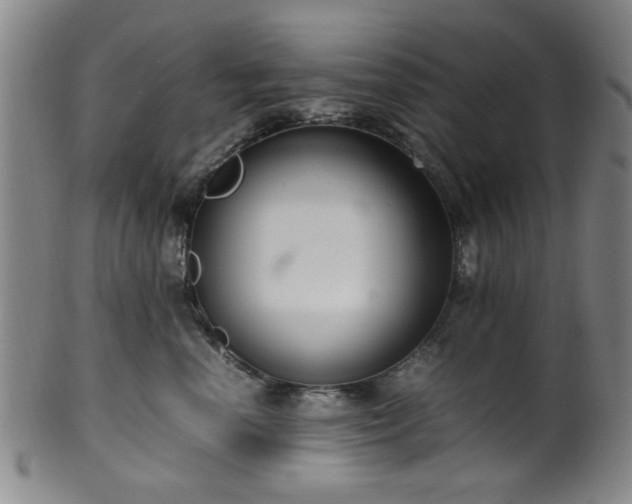 X0000100350666200806061115