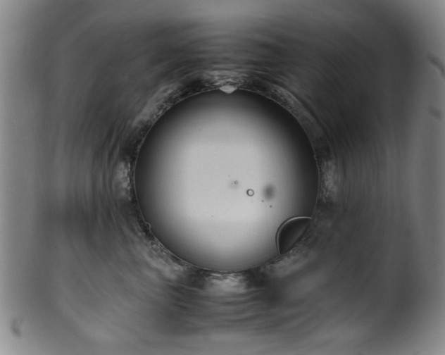 X0000100350667200806061115