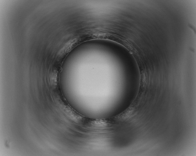 X0000100350668200806061115