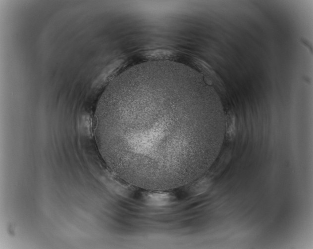 X0000100350669200806061115