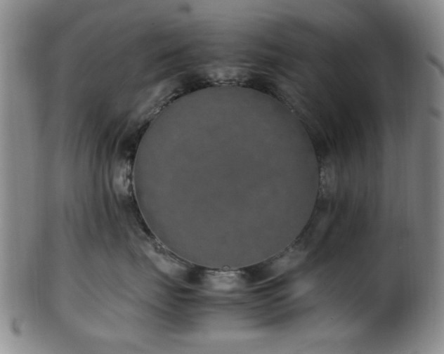 X0000100350671200806061115