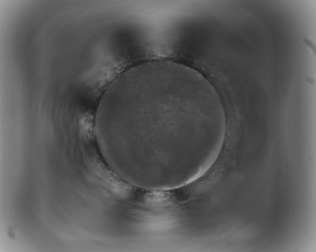 X0000100350672200806061115