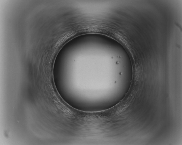 X0000100350673200806061115