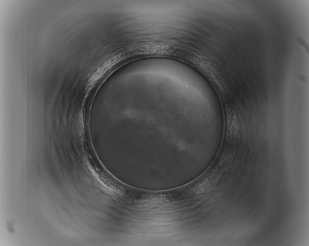 X0000100350674200806061115