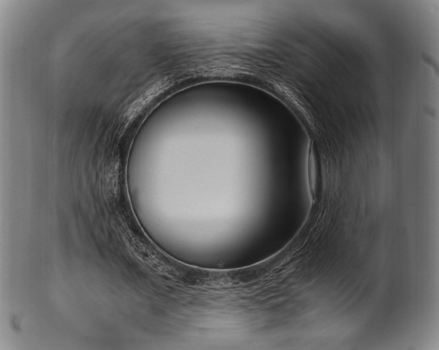 X0000100350675200806061115