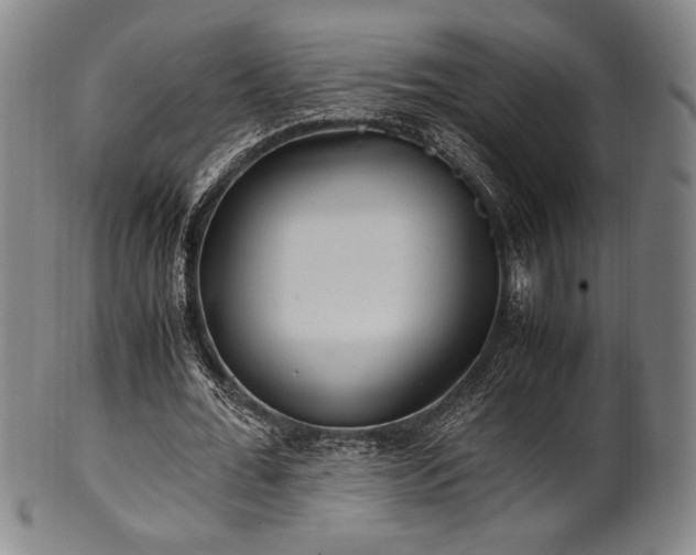 X0000100350676200806061115
