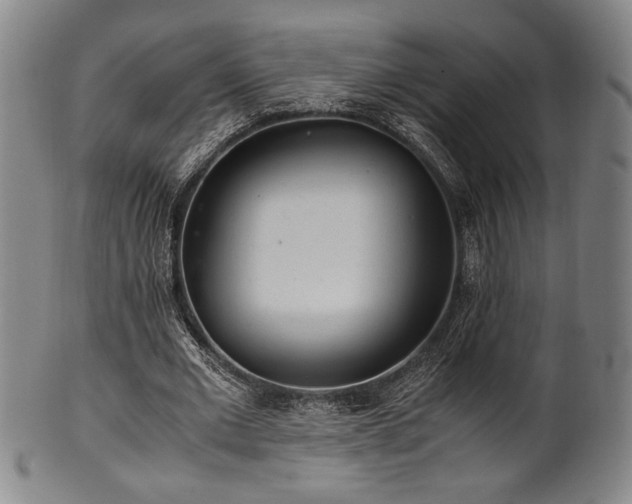 X0000100350677200806061115