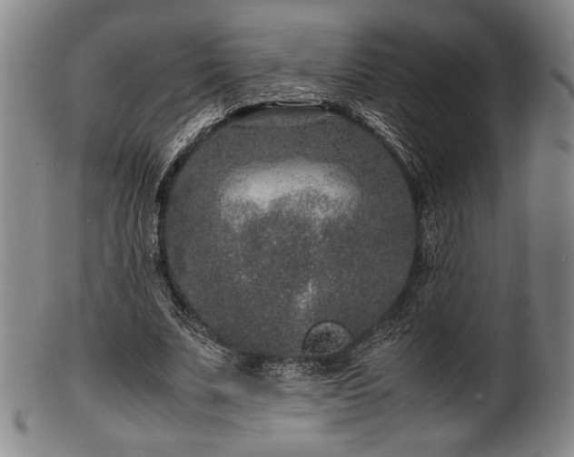 X0000100350679200806061115