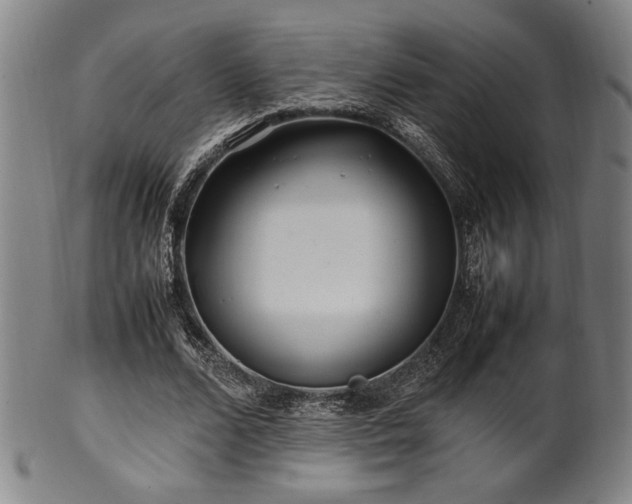 X0000100350680200806061115