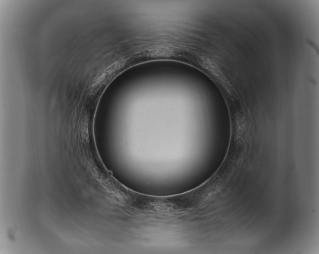 X0000100350681200806061115