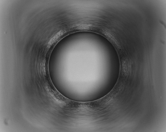X0000100350682200806061115
