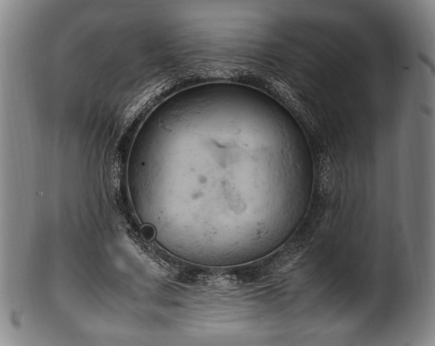 X0000100350683200806061115