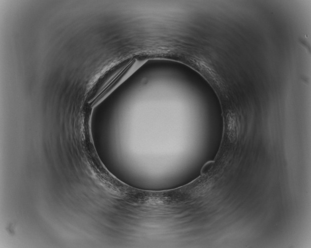 X0000100350684200806061115
