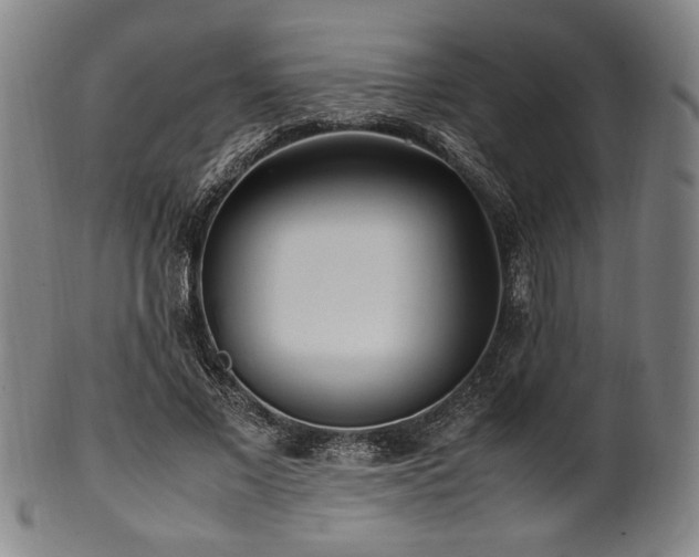 X0000100350685200806061115