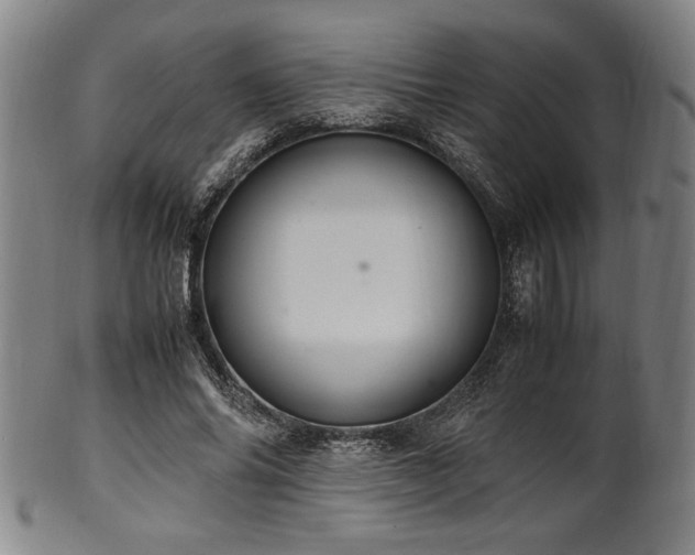 X0000100350686200806061115