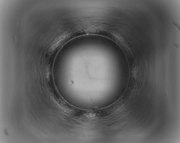 X0000100350687200806061115
