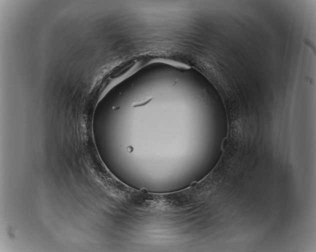 X0000100350688200806061115