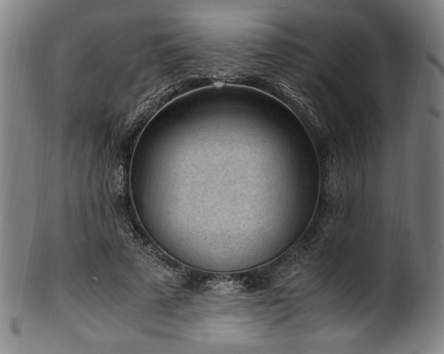 X0000100350689200806061114