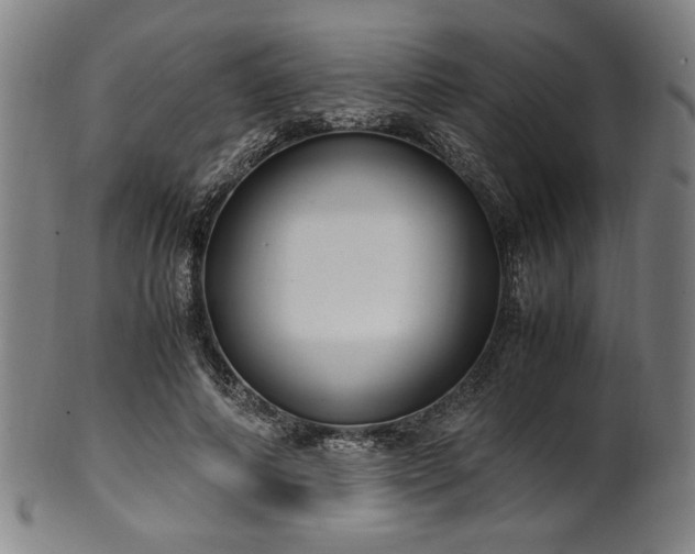 X0000100350690200806061114