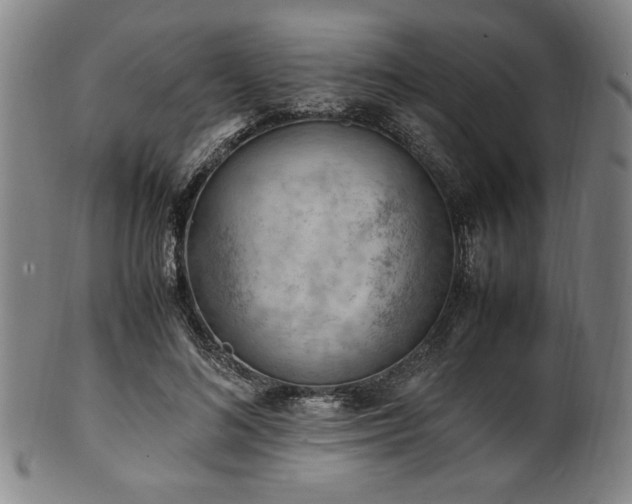 X0000100350692200806061114