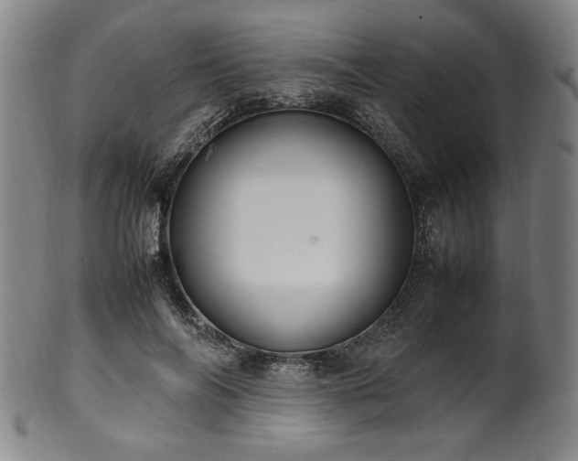 X0000100350694200806061114