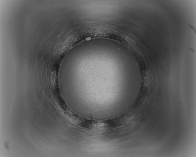 X0000100350695200806061114