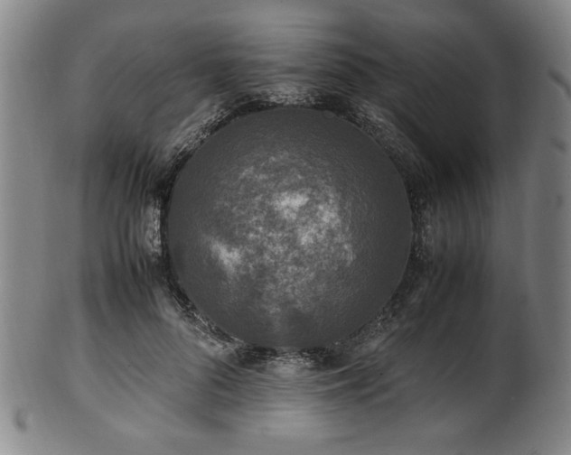 X0000100350696200806061114