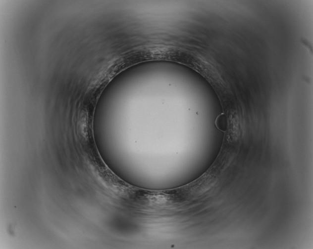 X0000100350698200806061114