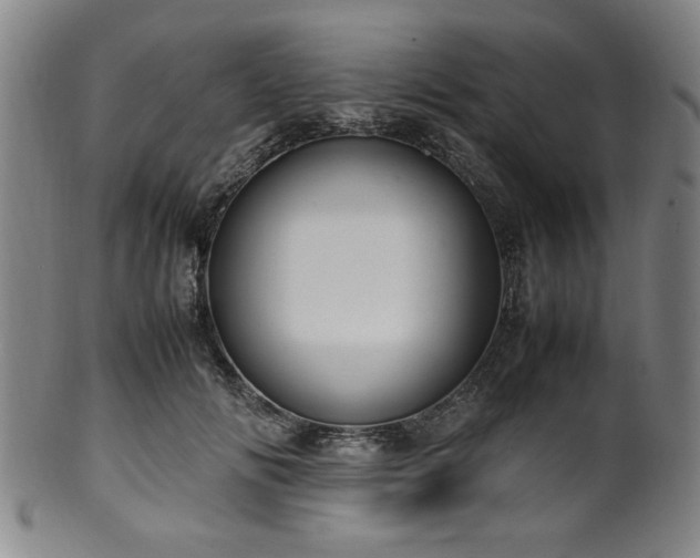 X0000100350702200806061114