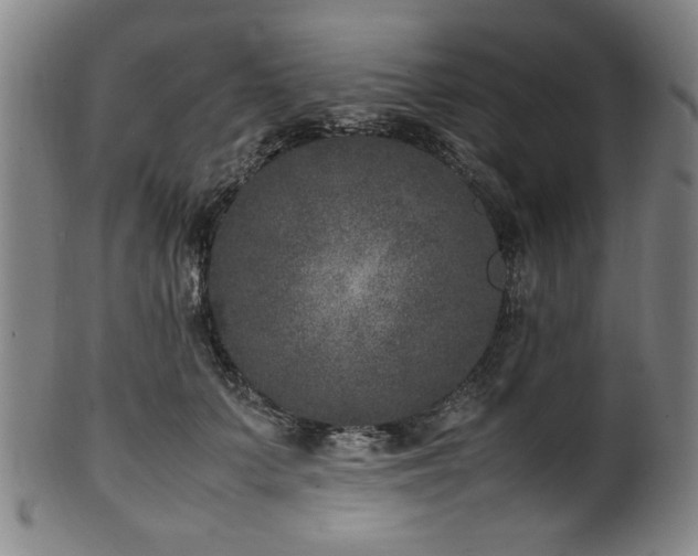 X0000100350703200806061114
