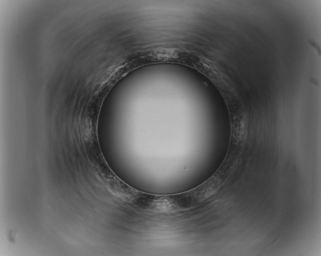 X0000100350704200806061114