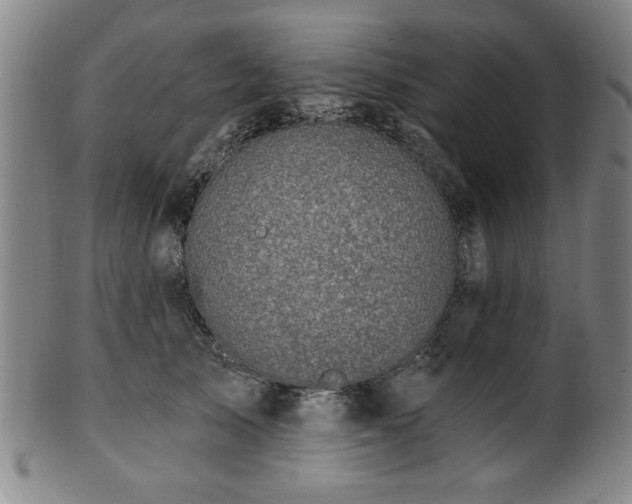 X0000100350705200806061114