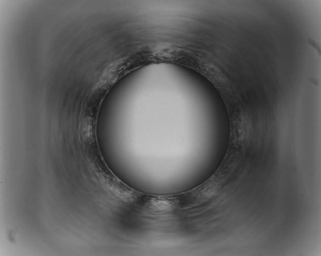 X0000100350706200806061114